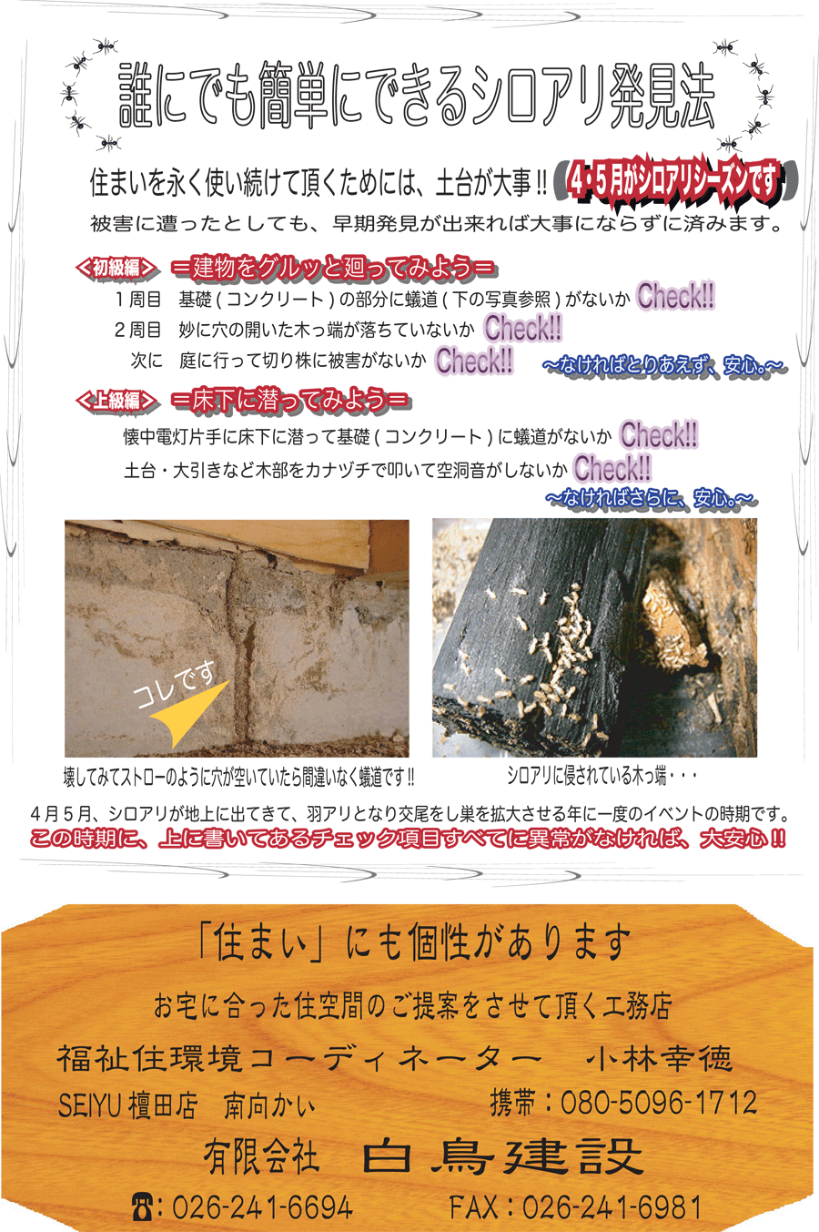 しらとリビア　白鳥建設ニュースレター　創刊号　No3