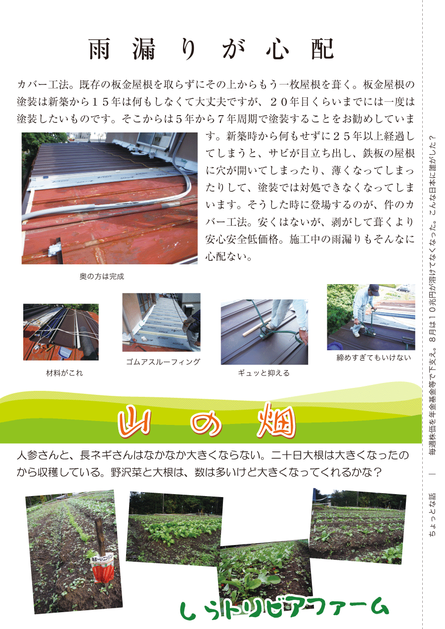 しらとリビア　白鳥建設ニュースレター　114号　No2