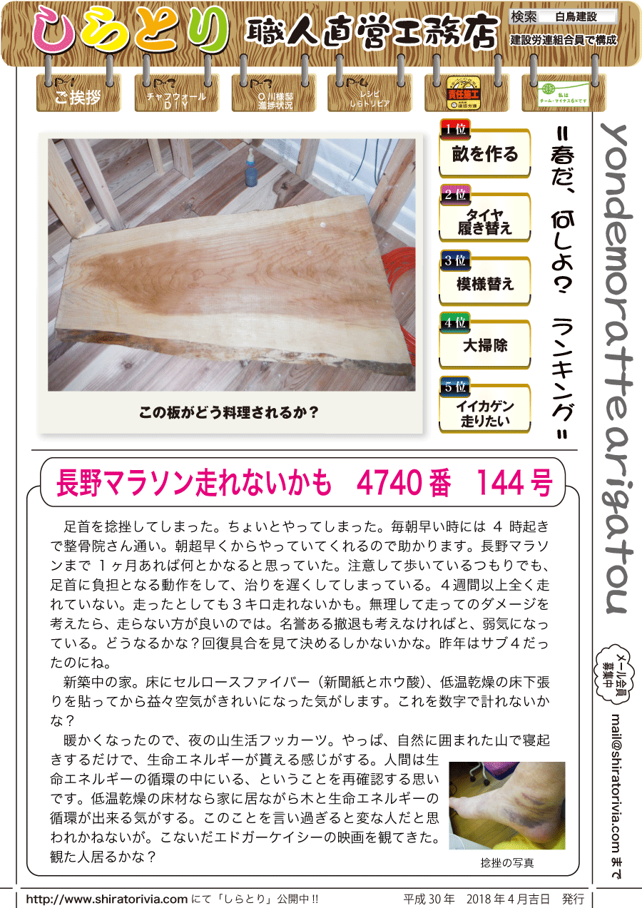 しらとリビア　白鳥建設ニュースレター　144号　No1