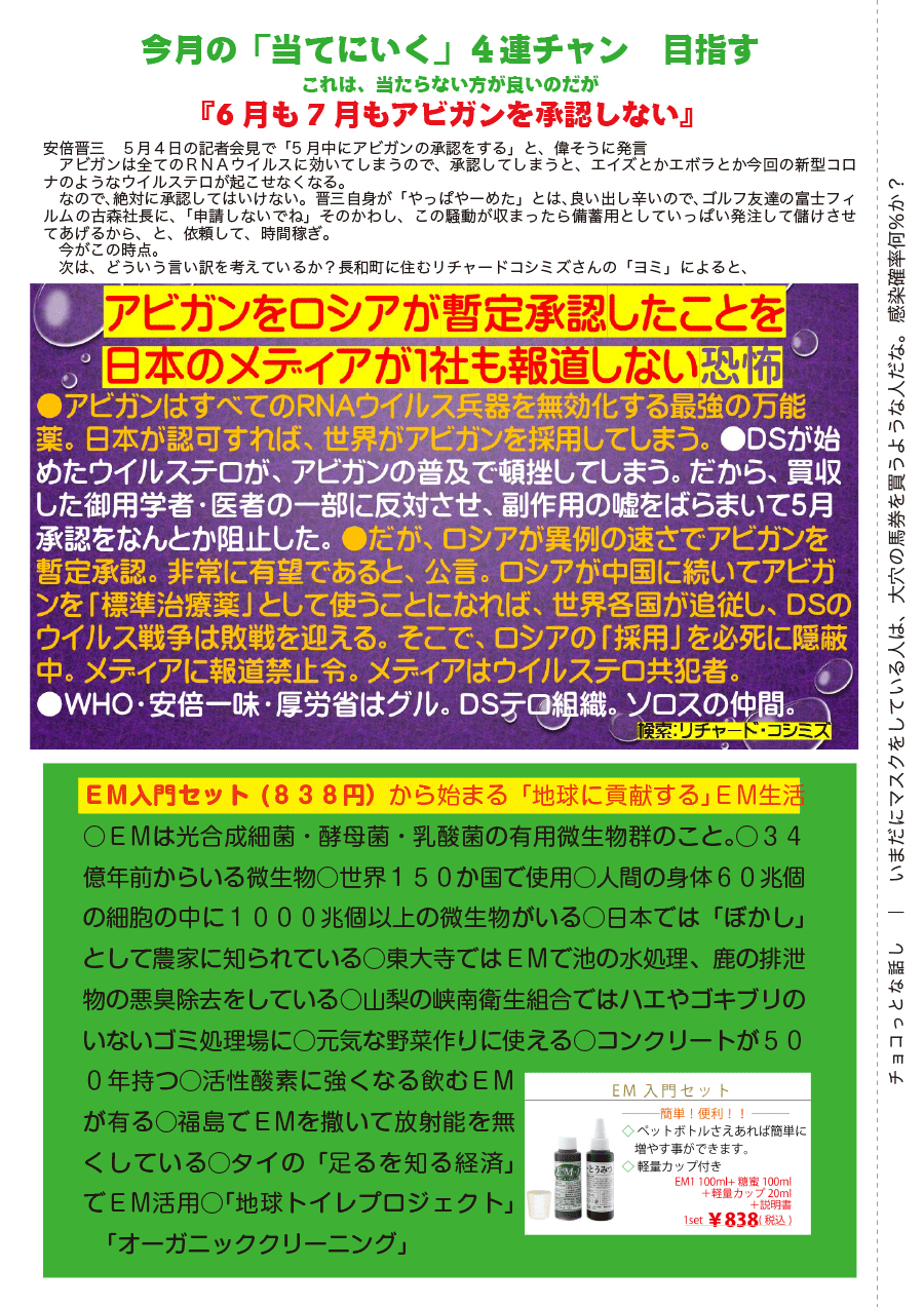 しらとリビア　白鳥建設ニュースレター　170号　No2