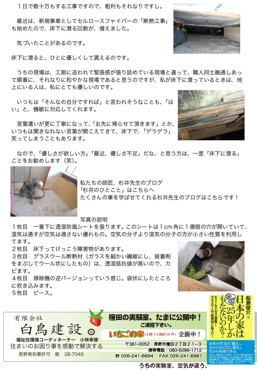 しらとリビア　白鳥建設ニュースレター　181号　No3