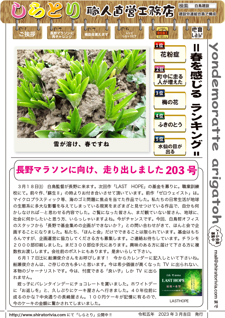 しらとリビア　白鳥建設ニュースレター　203号　No1