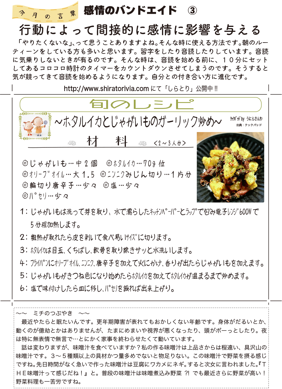 しらとリビア　白鳥建設ニュースレター　216号　No4