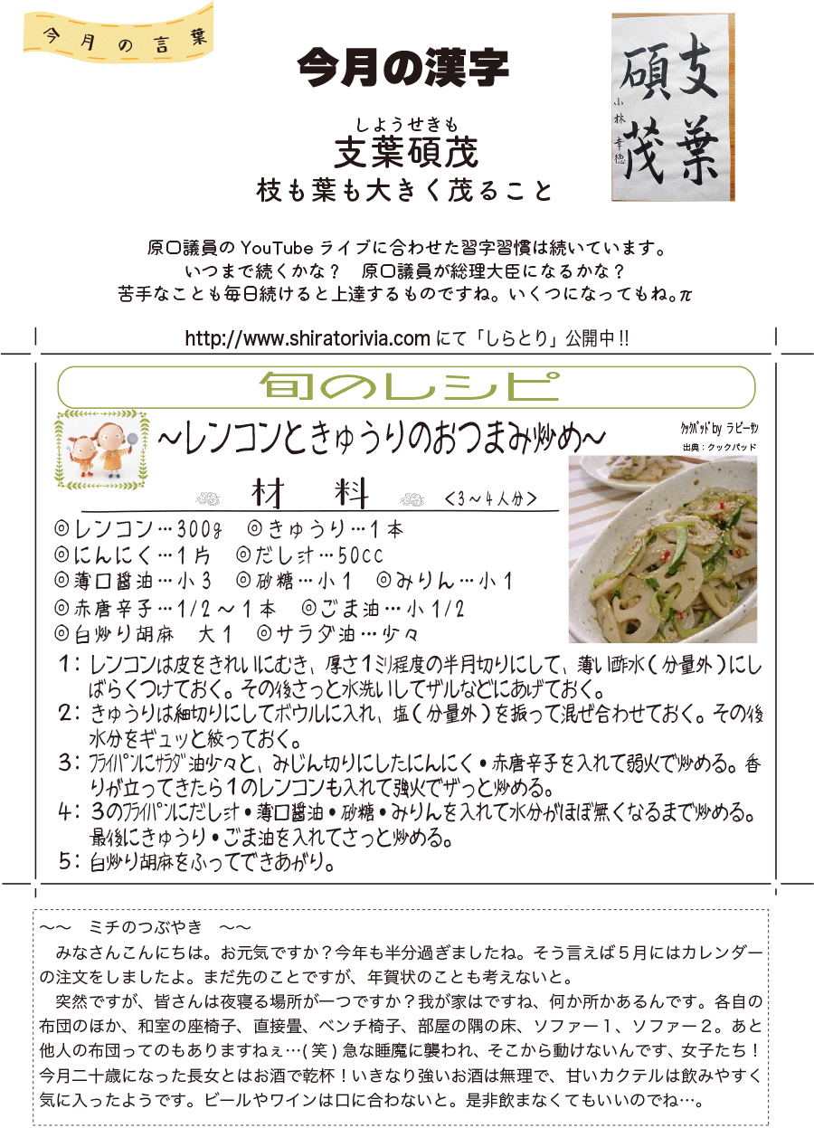 しらとリビア　白鳥建設ニュースレター　219号　No4