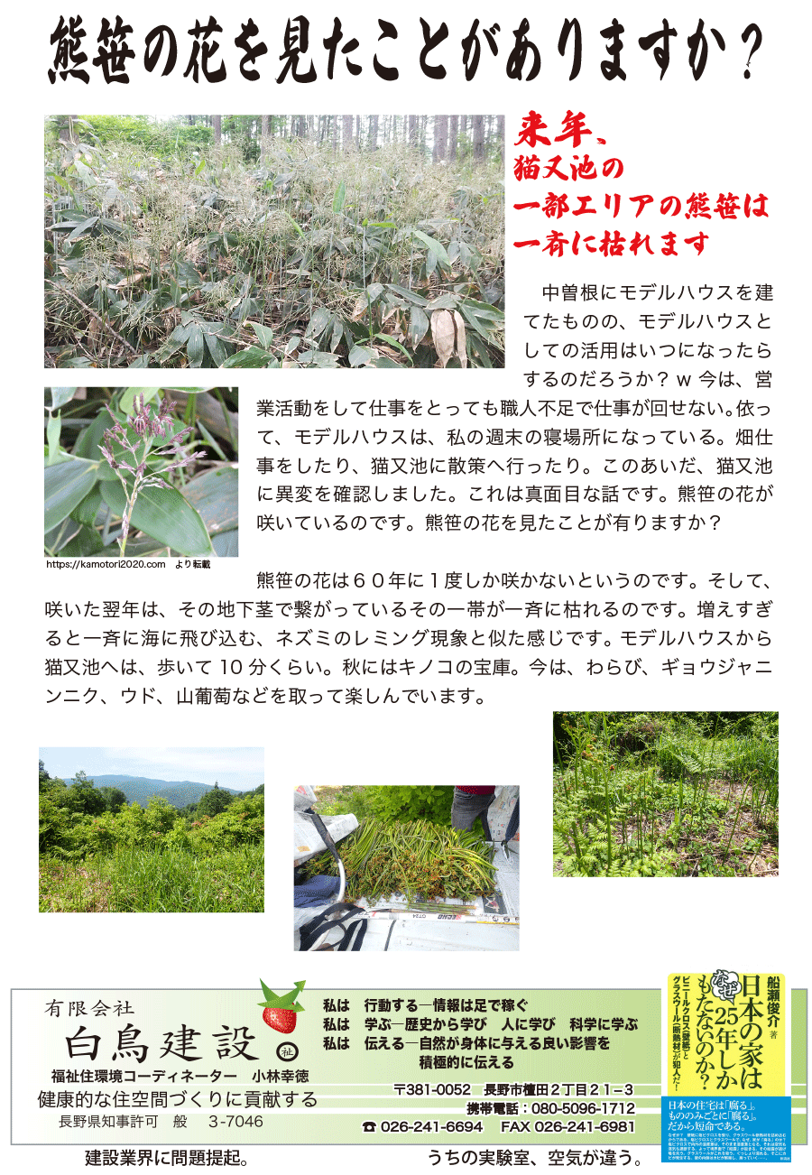 しらとリビア　白鳥建設ニュースレター　230号　No3