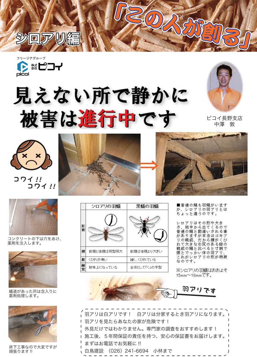 しらとリビア　白鳥建設ニュースレター　37号　No2